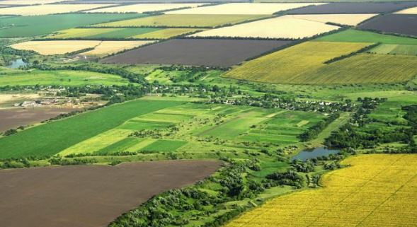 2/B Arazilerinde Satış Bedeli 7 2/B Arazilerinde Satış Bedeli