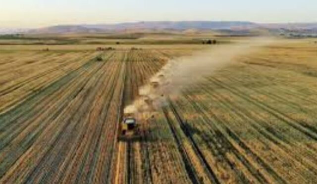 49 Yıllığına Hazine Arazisi Kiralama