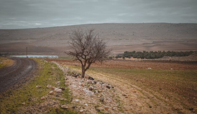 Hazineye Ait Tarım Arazilerinin Satışı Tapu Verme