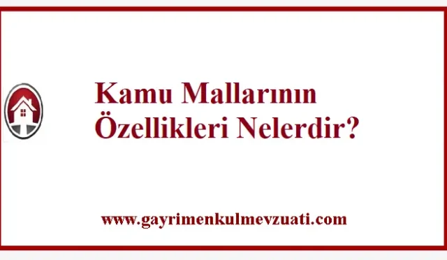 Kamu Mallarının Özellikleri ve Türleri Nelerdir