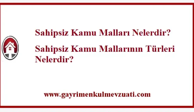 Sahipsiz Kamu Malları Nelerdir?