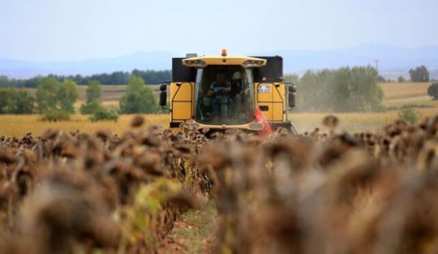 hazine arazisi kiralama ücreti